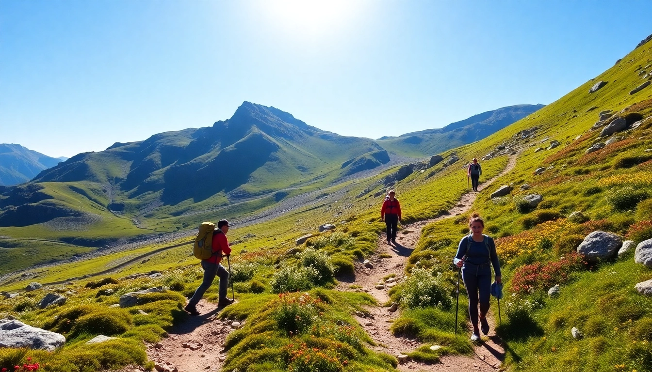 Hikers enjoying a scenic hike along rugged trails in lush, mountainous terrain with blue sky background.
